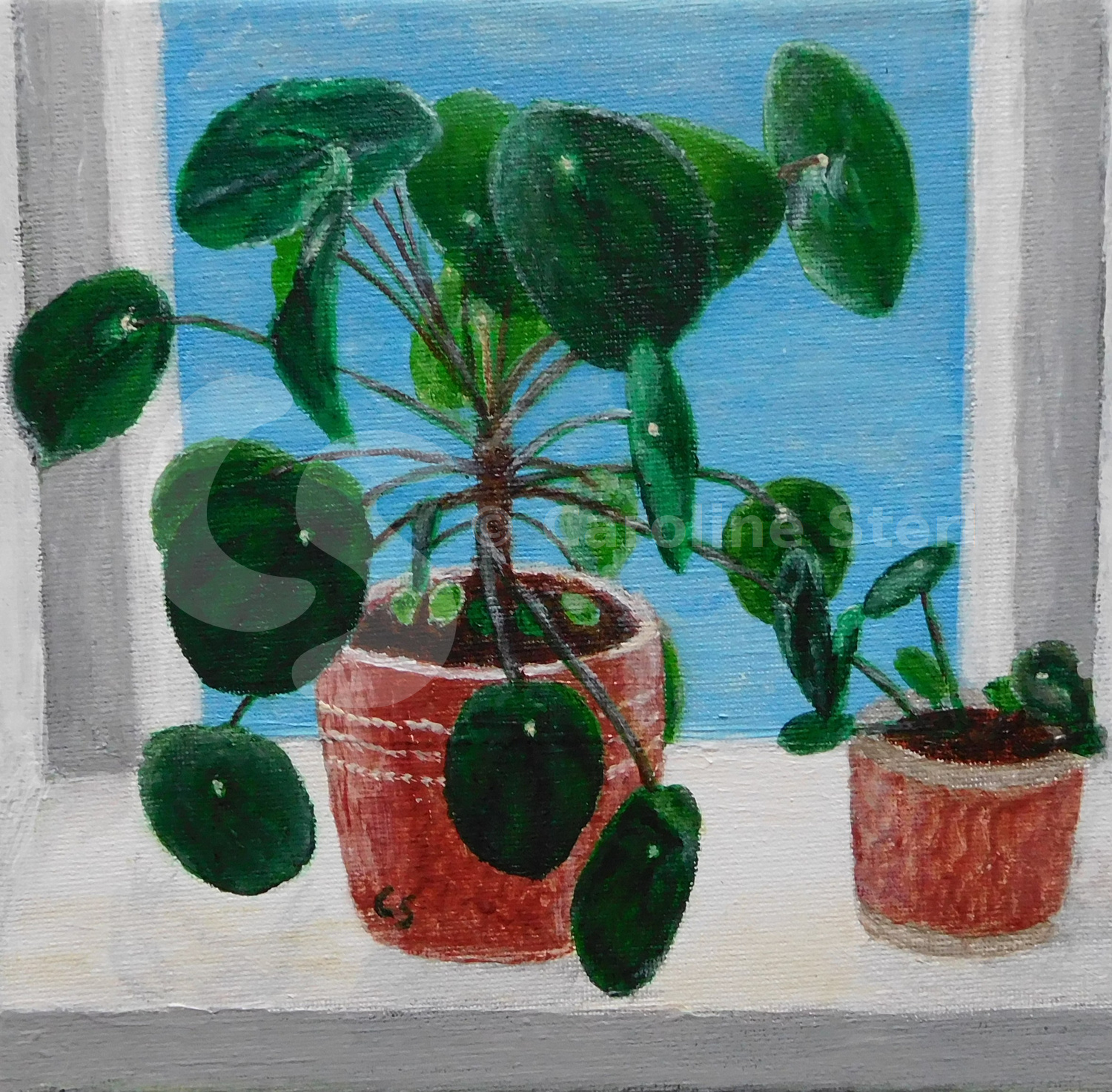 Painting: Pancake Plant